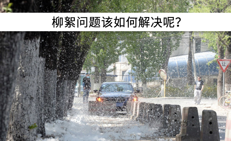 遇到“柳絮”不慌!這樣做，節(jié)能維修費(fèi)用